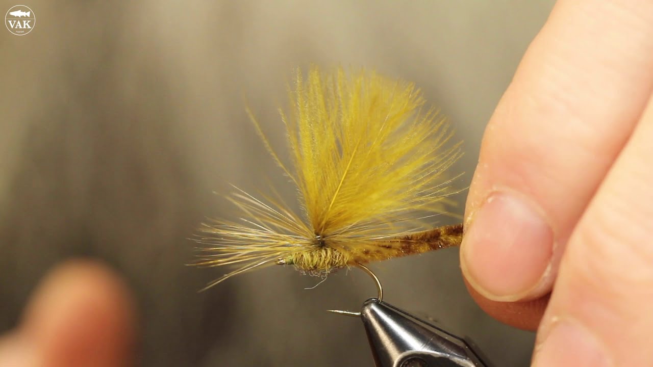 Vulgata Dun