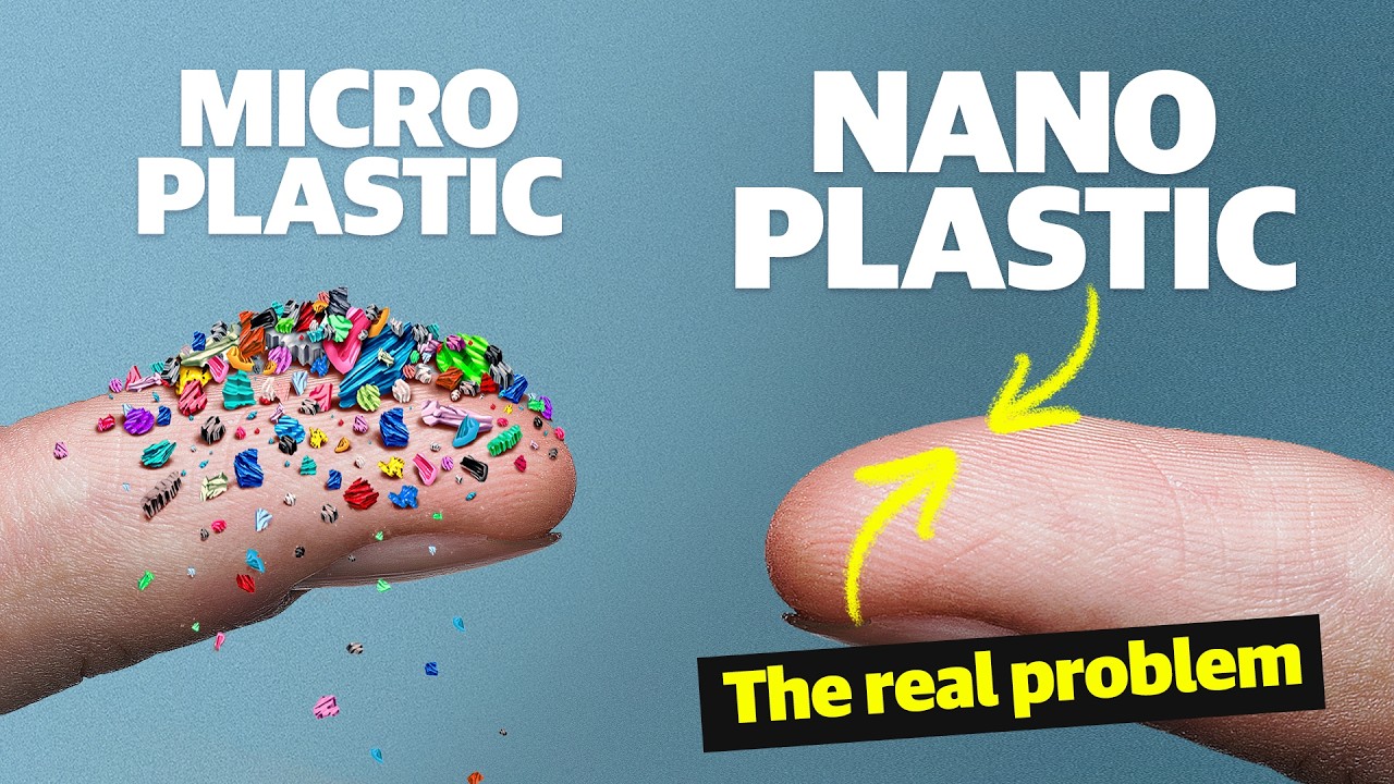How microplastics accumulate inside our bodies
