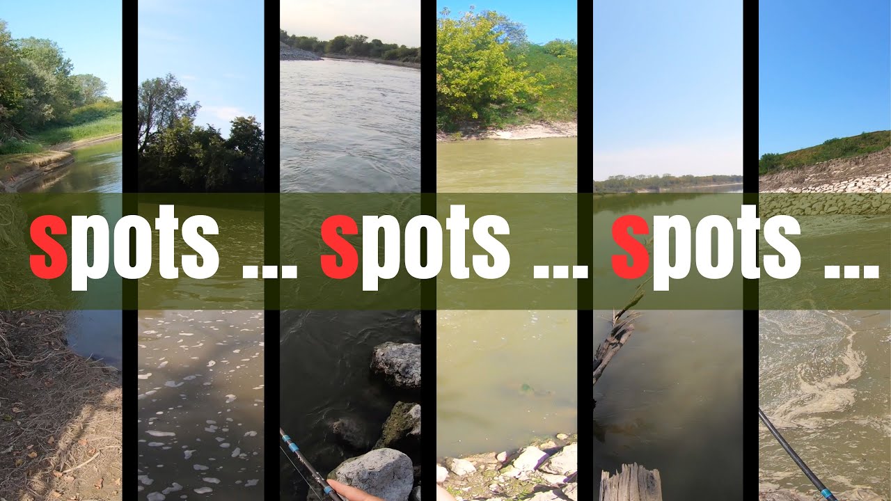 Spots, Spots, Spots ... and some incredibly picky fish - Summer time in the Po valley