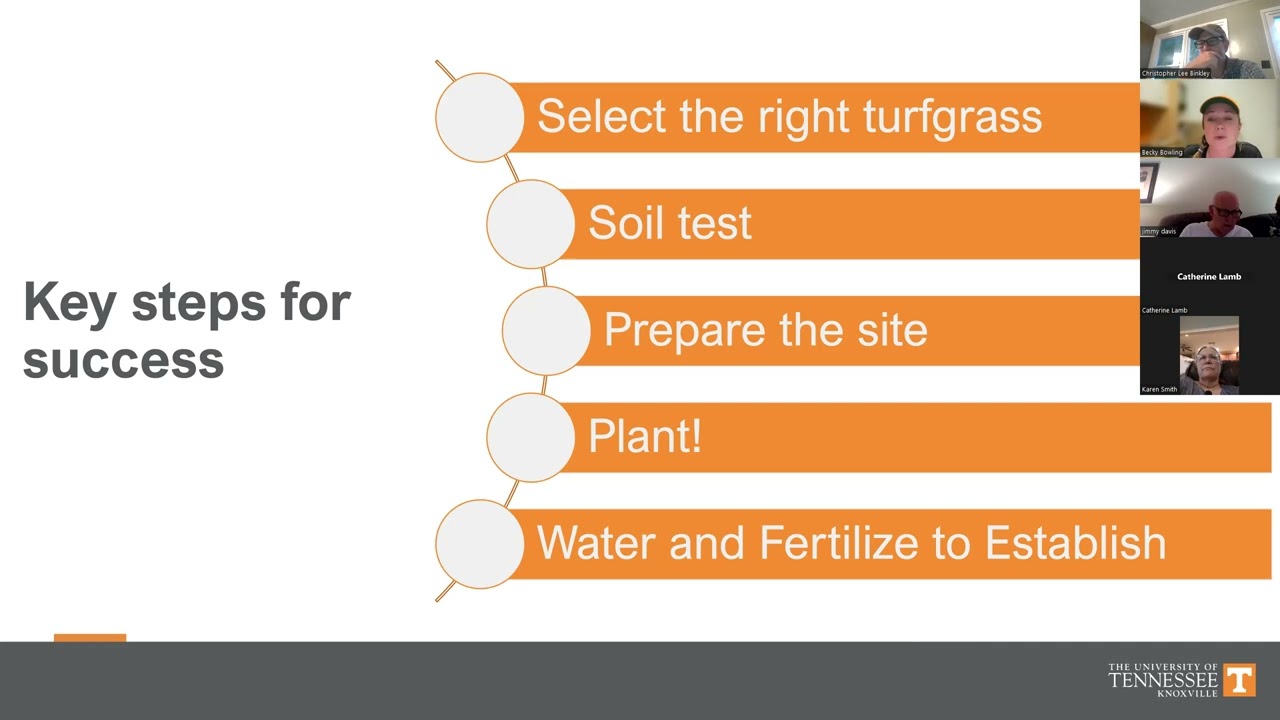 Establish or Renovate Your Lawn