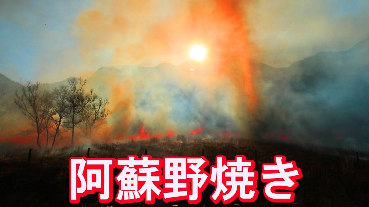 また負傷🔥阿蘇野焼き完全版 草原を守る千年の営み!  Large-scale grassland grilling in Aso