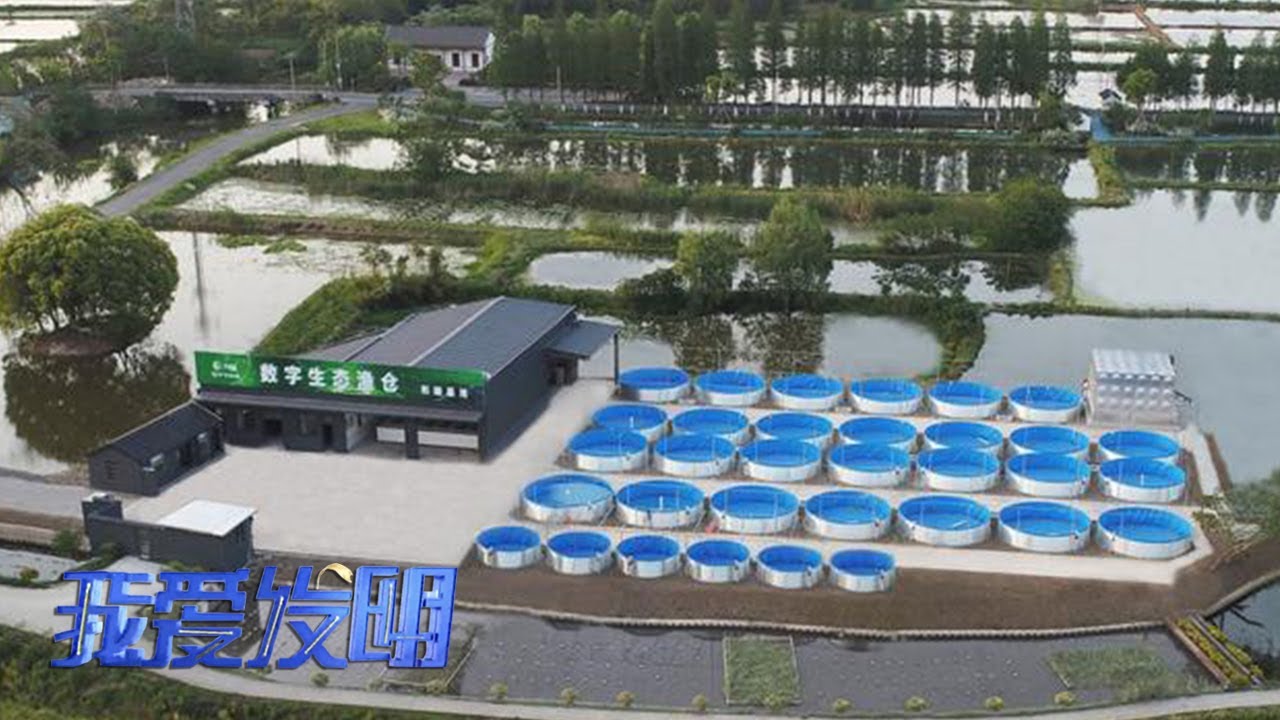 改变传统养鱼方式！他打造智能蜂窝池，用更小面积养出更多的鱼，还能遥控鱼苗生长过程！|「我爱发明」20230127