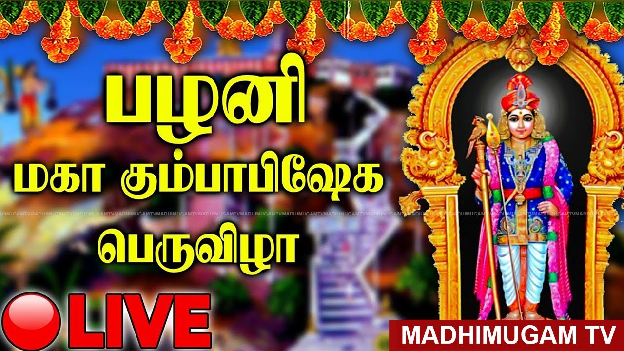 🔴LIVE : பழனி மகா கும்பாபிஷேக பெருவிழா 2023 | Palani Kumbabishekam 2023 | MadhimugamTV