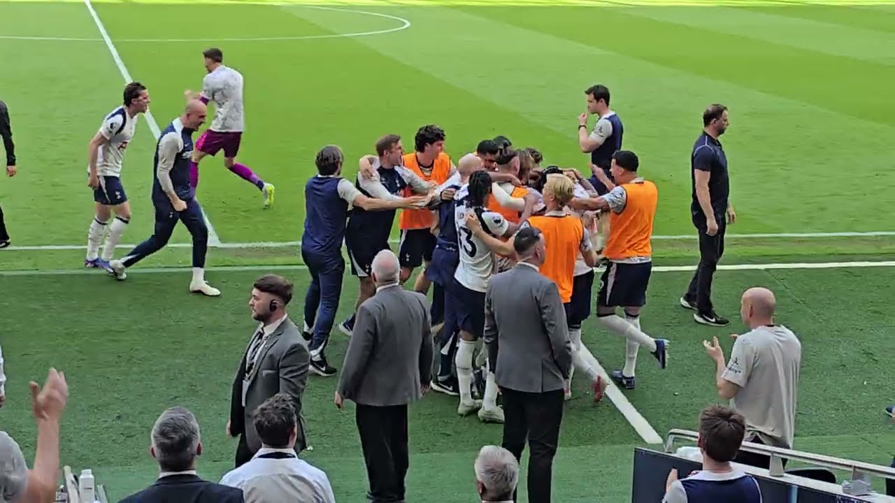 JO&Atilde;O PALHINHA CELEBRATES WITH THE BENCH AFTER SCORING AGAINST EVERTON! Tottenham 1-0 Everton