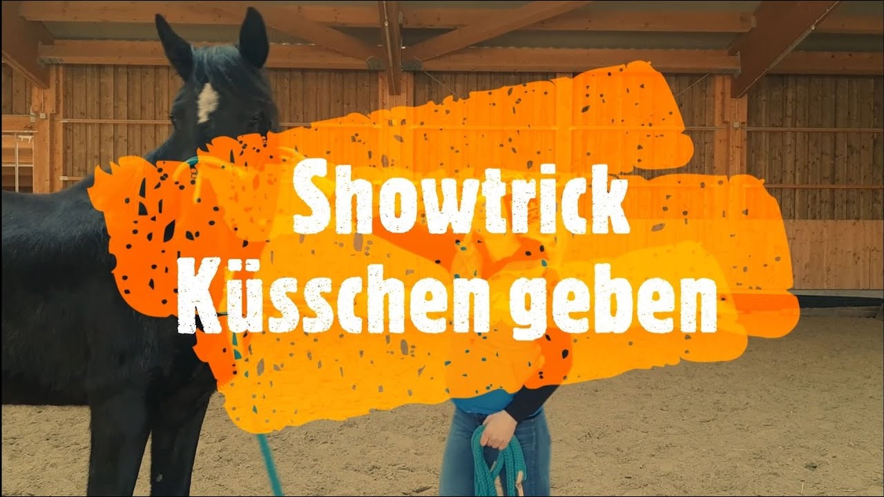 Pferdeshowtrick 