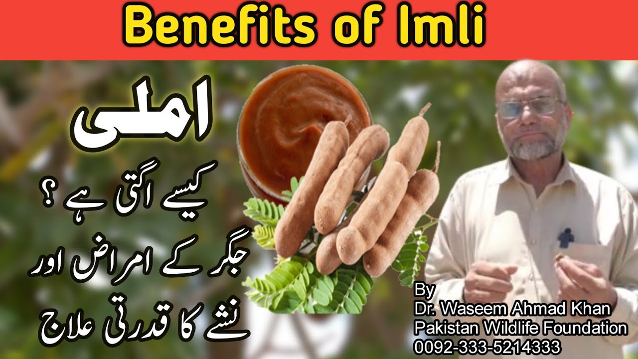 Benefits of Imli | Imli k Fayde | How Imli is Grown | Health Benefits of Imli | Imli Business Idea