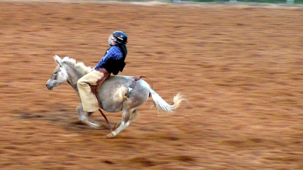 Donkey Riding - 2019 Saint's Roost Ranch Rodeo (Saturday)