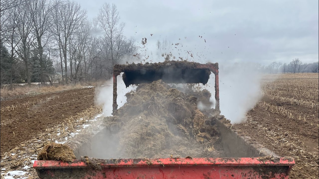 Bedding barns and hauling manure 
