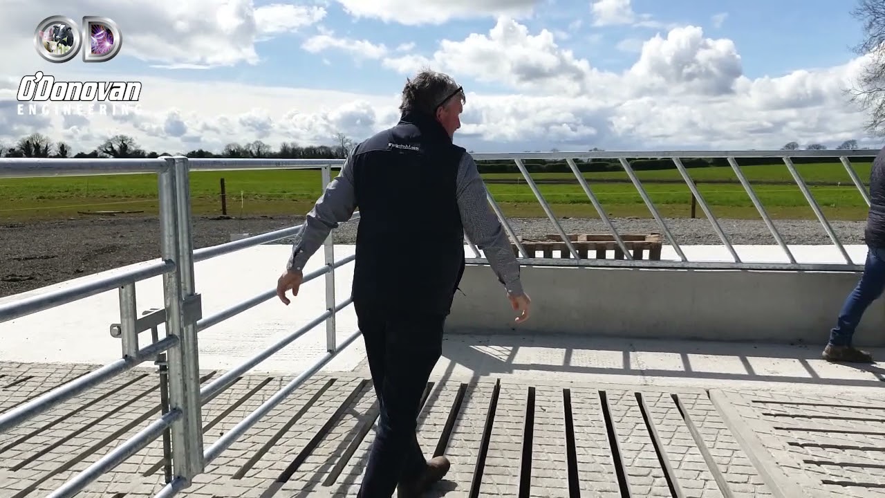 New Cubicle Shed - Walk & Talk Part 2