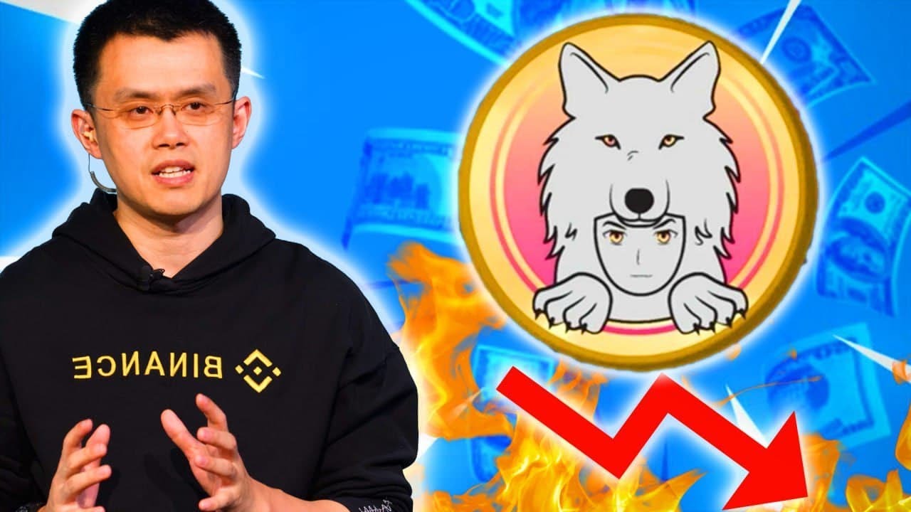 SAITAMA INU BIG UPDATE: WE ARE GOING DOWN! GET READY! (PRICE PREDICTION UPDATE TODAY 2022)