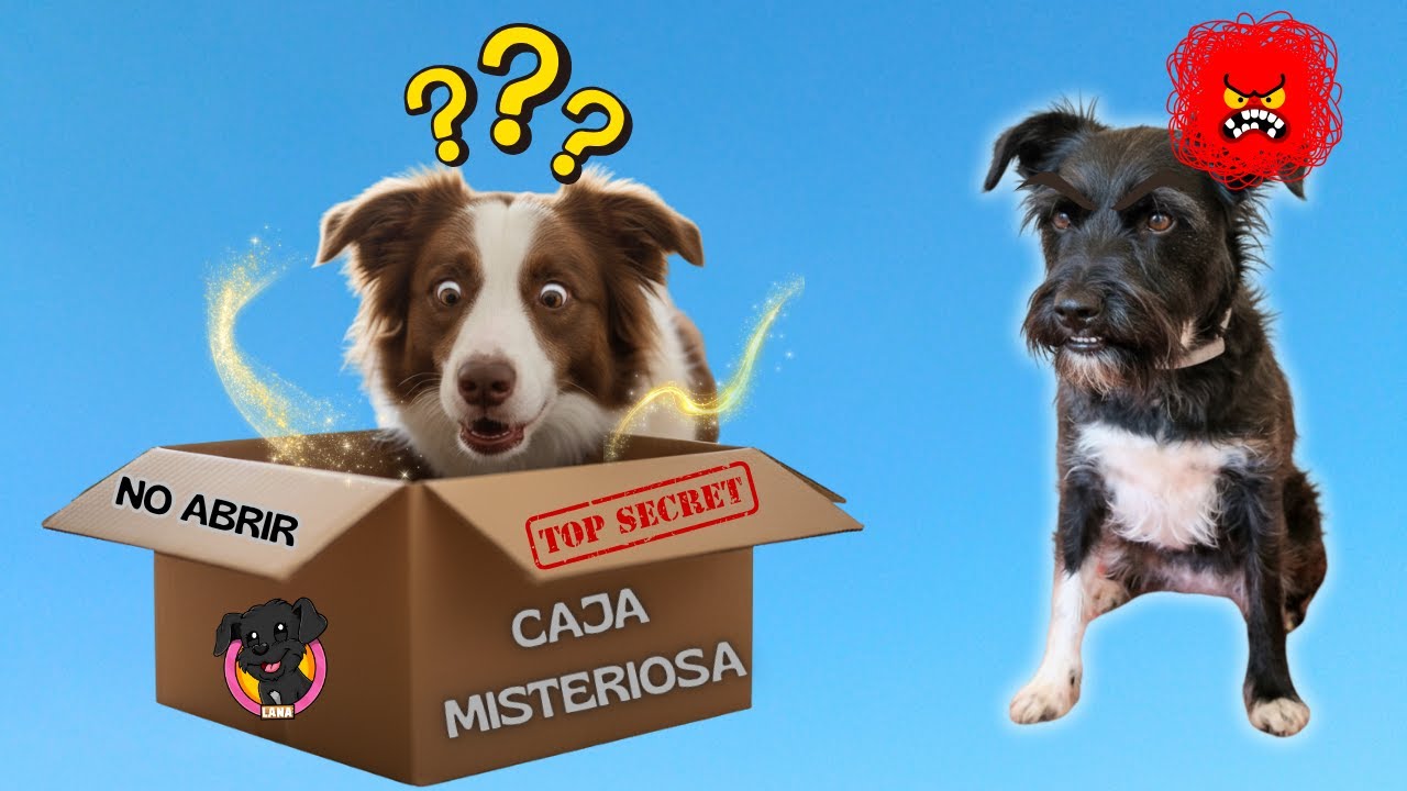 ¡LA CAJA MISTERIOSA de LANA! 😳 Mel la abre… ¡y TODO cambia! Ep #1