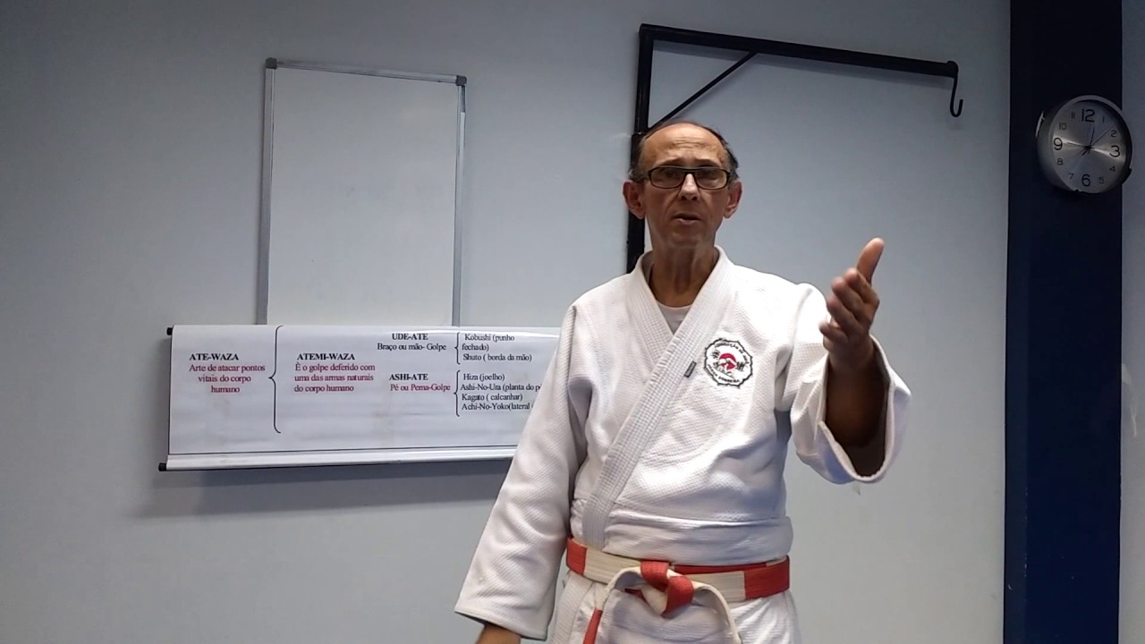 Divisão e Sub Divisão do Judô - Parte 3 Ate Waza
