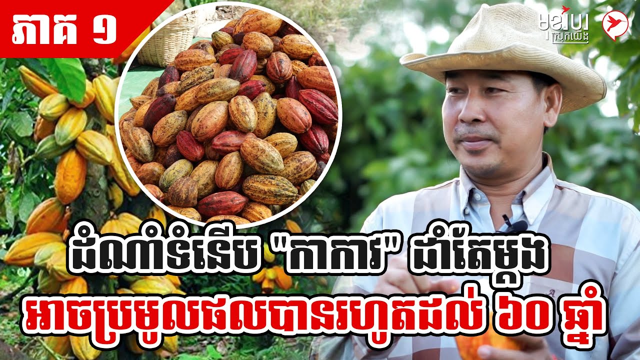 ដំណាំទំនើប 