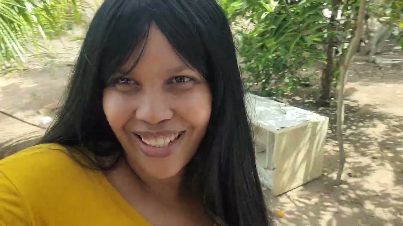 Colhendo caju no pé, olha que maravilha 