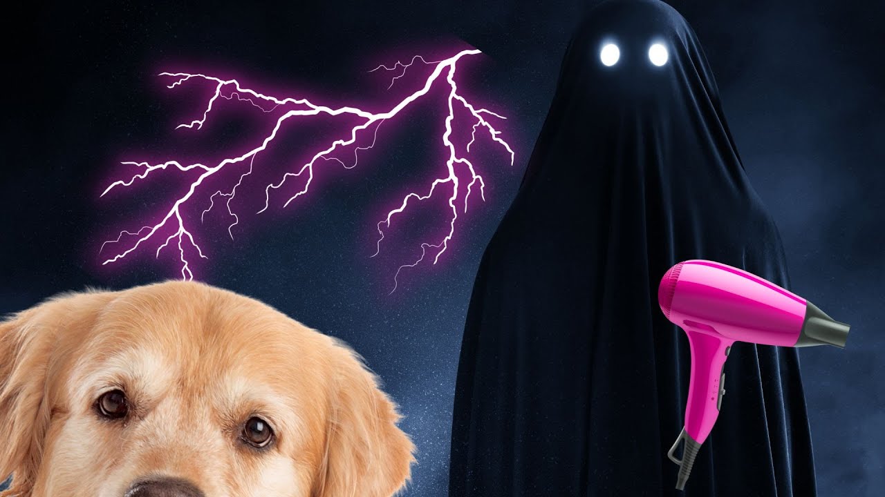 Las 7 miedos más comunes de los Golden Retrievers y cómo ayudarlos.