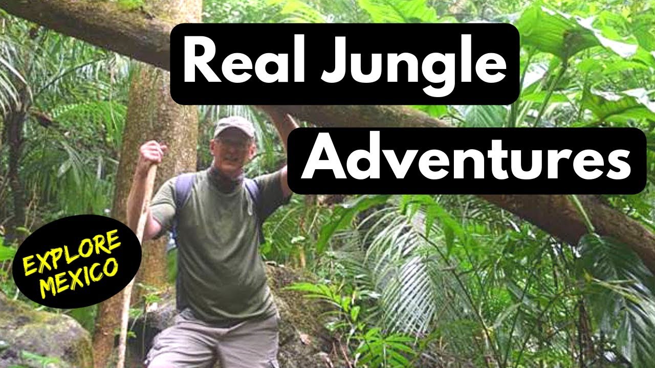 EXPLORE MEXICO: Hidden Jungle Adventures