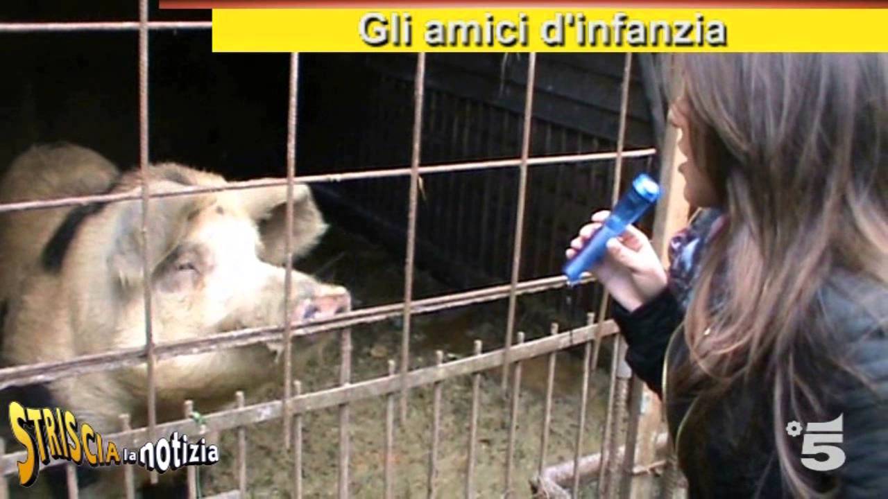 Striscia la Notizia Scherzo 18° Compleanno