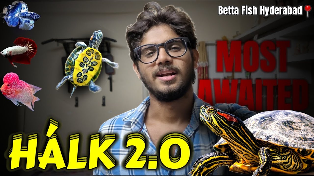 🐢Halk 2.0 - *New Turtle* Epic Vlog🤯 || Betta Fish Hyderabad || #newpet #turtle #trending #viralshort