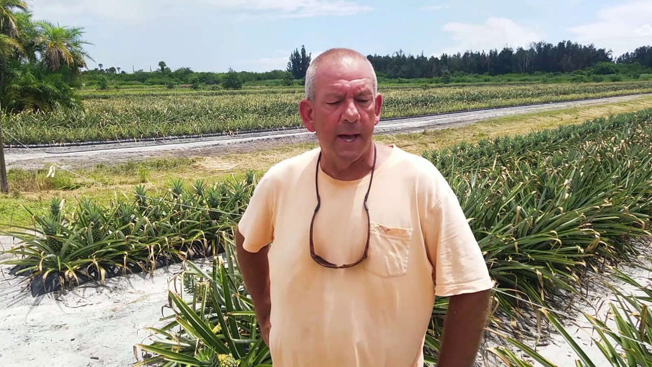 Meet Mark Dellerman aka 