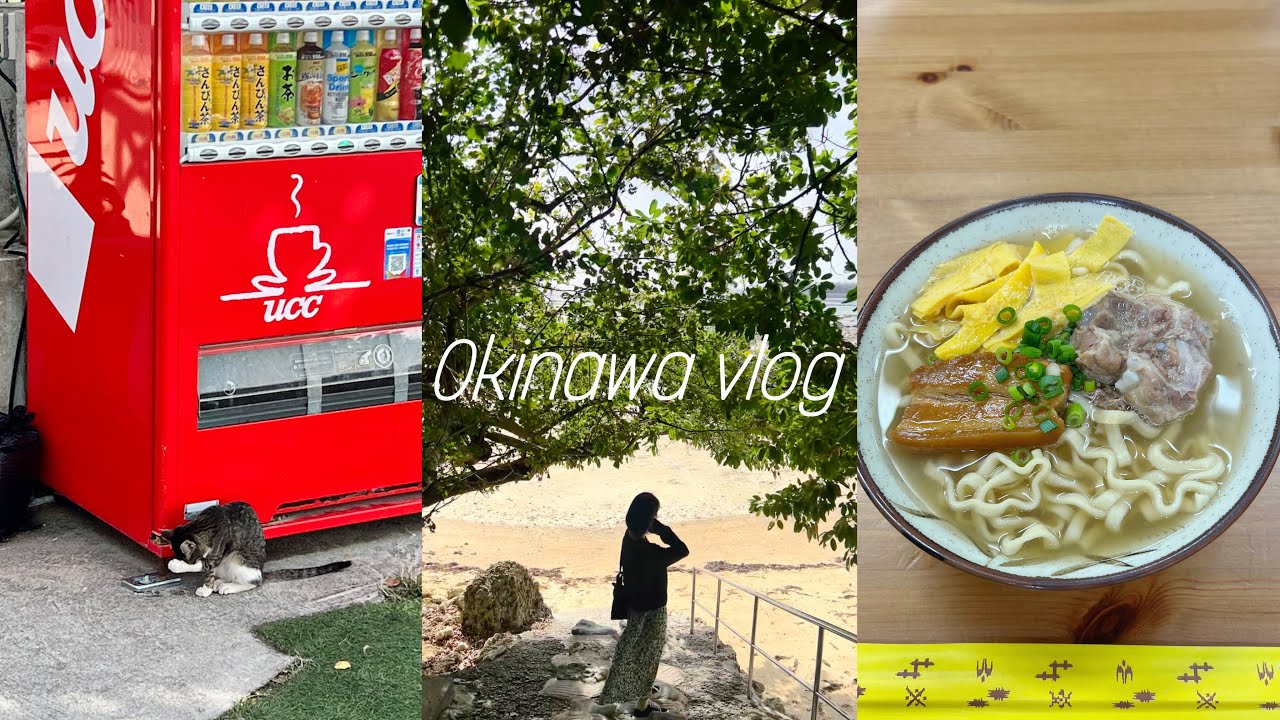 여행 브이로그 | ep.2 오키나와 3박4일 여행, 고양이섬🐱, 로컬 맛집, 오션뷰 카페, tacos, 중부 호텔 추천, 국제거리, 세나가섬