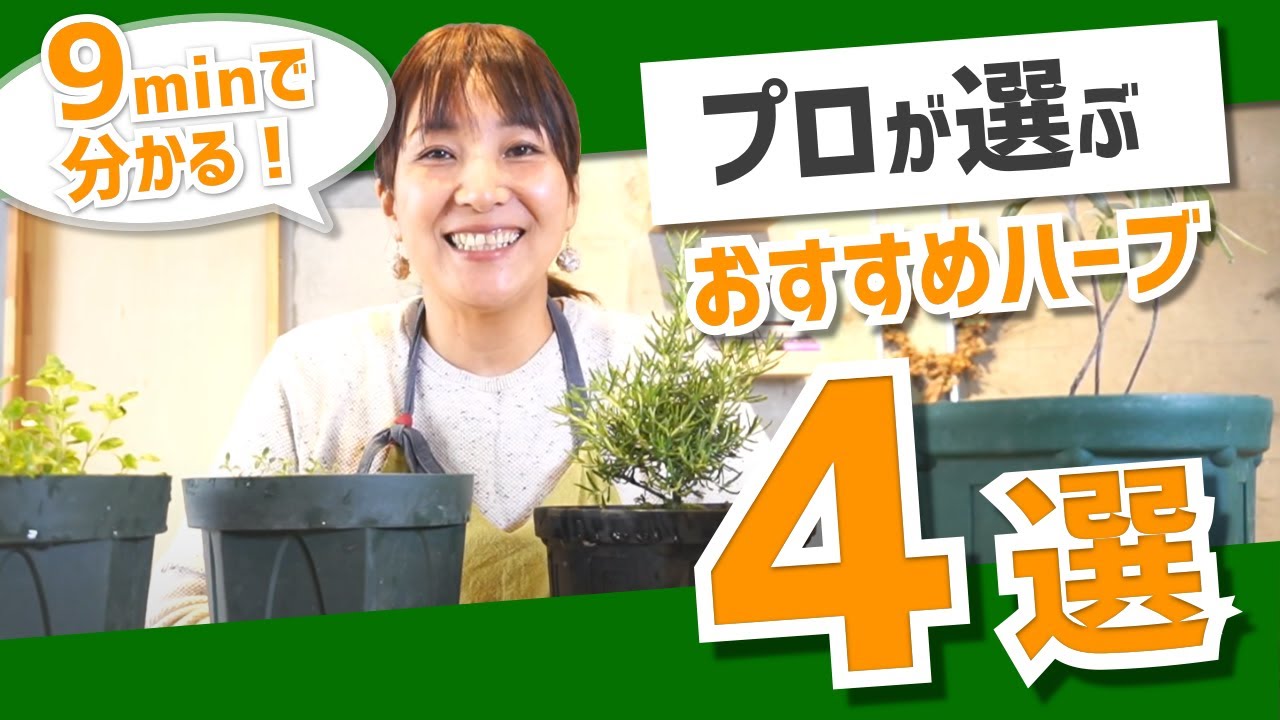 【ハーブおすすめ】プロが薦める万能ハーブ4選＋活用法を徹底解説！ 【ガーデニングにおすすめ/ローズマリー/タイム】