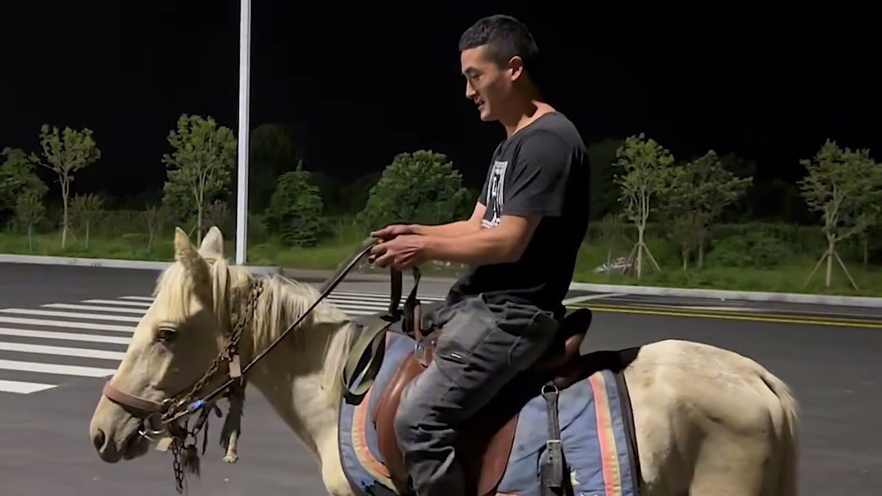 Riding a floor mounted white pony on a closed road  This horse is really honest and stable