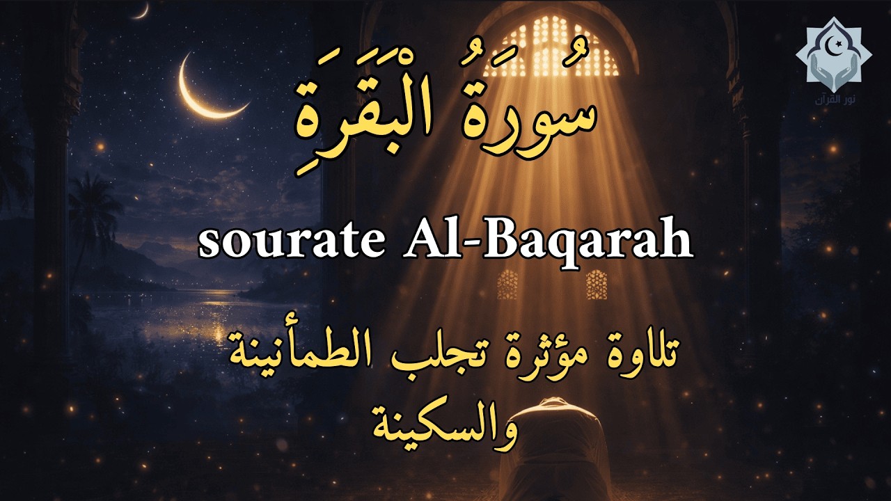 سورة البقرة تلاوة خاشعة ومطمئنة 🤍 | نور وبركة وراحة تملأ القلب بإذن الله
