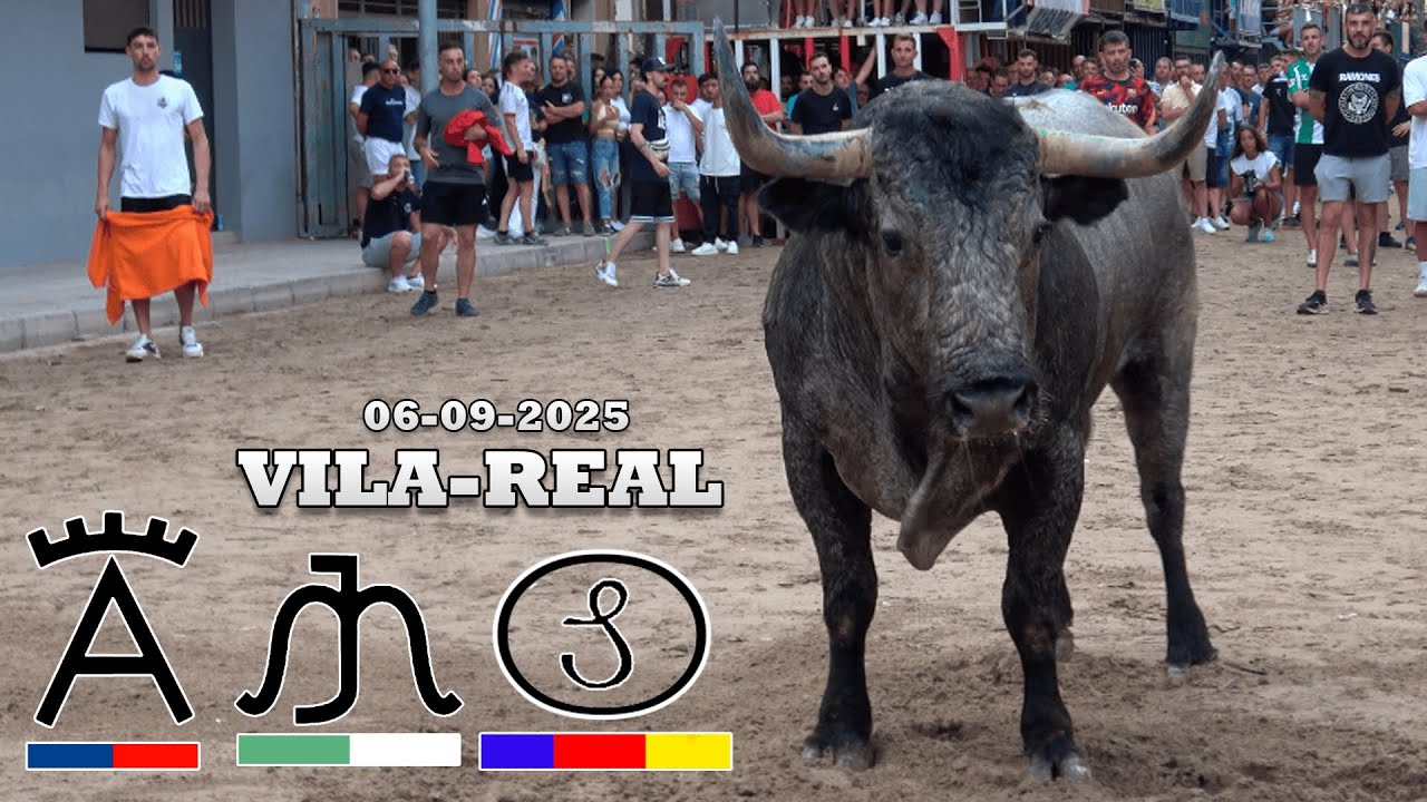 4K -  3 TOROS EN VILA-REAL - VICTORINO MARTIN - ALDEANUEVA - PAULINO DA CUNA E SILVA
