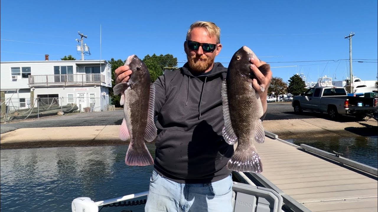 Temu ultralight adventures ep 5 tog takedown!! #fish #fishing #Outdoors #boat #ultralight #oceancity