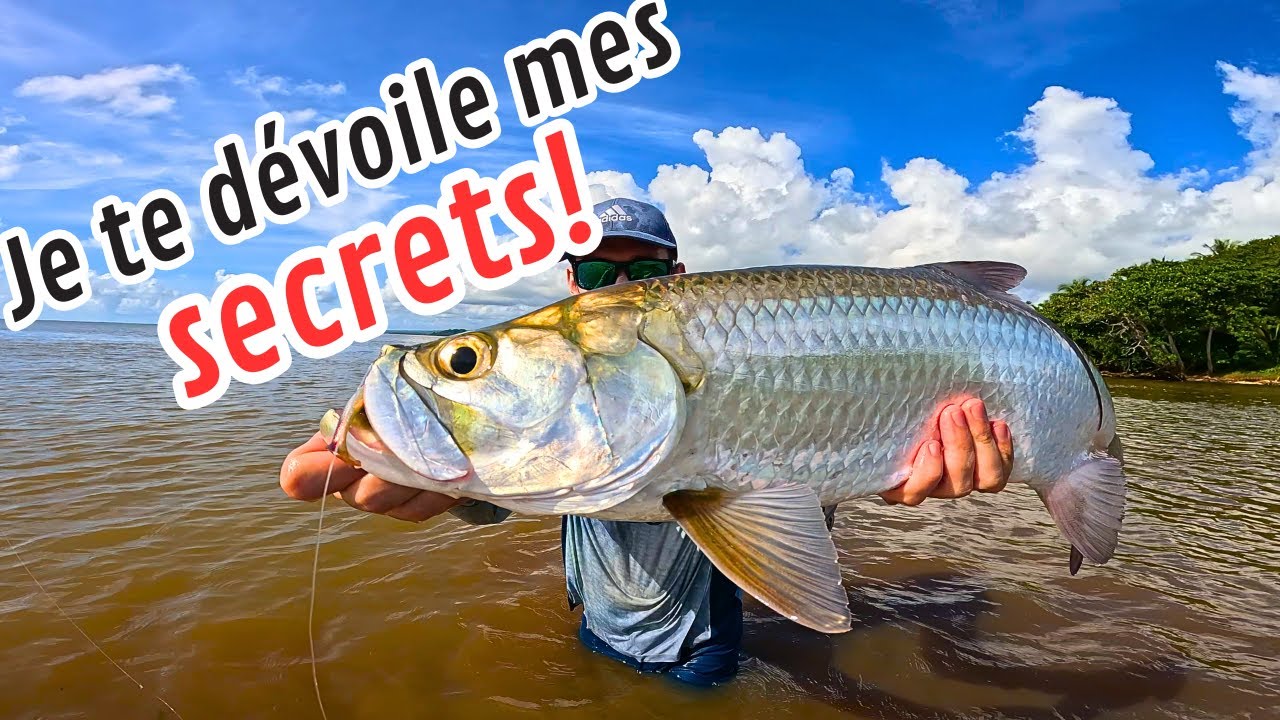 5 astuces à connaître ABSOLUMENT avant d'aller pêcher le TARPON!
