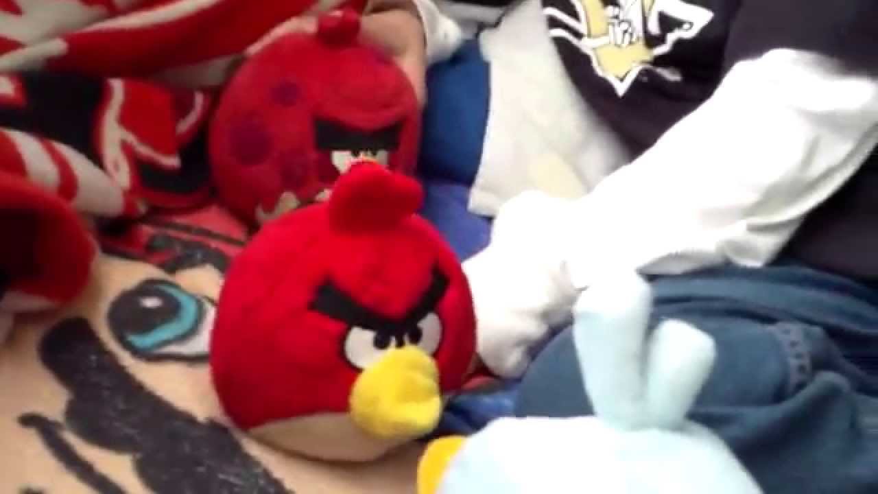 Angry birds crappy adventures:Big Bro gets sick