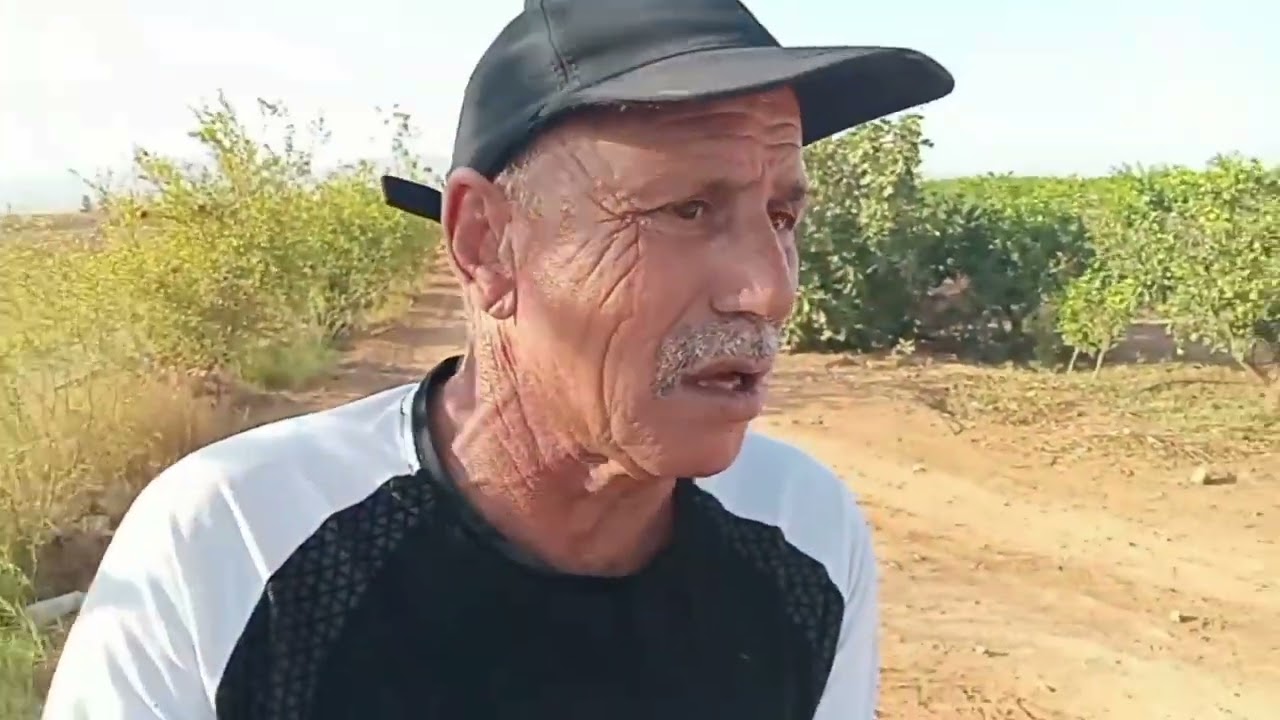 عمي حماد مشى لواحد الفيرمة حرشو عليه لكلاب🦮الموت ديال الضحك 🤣