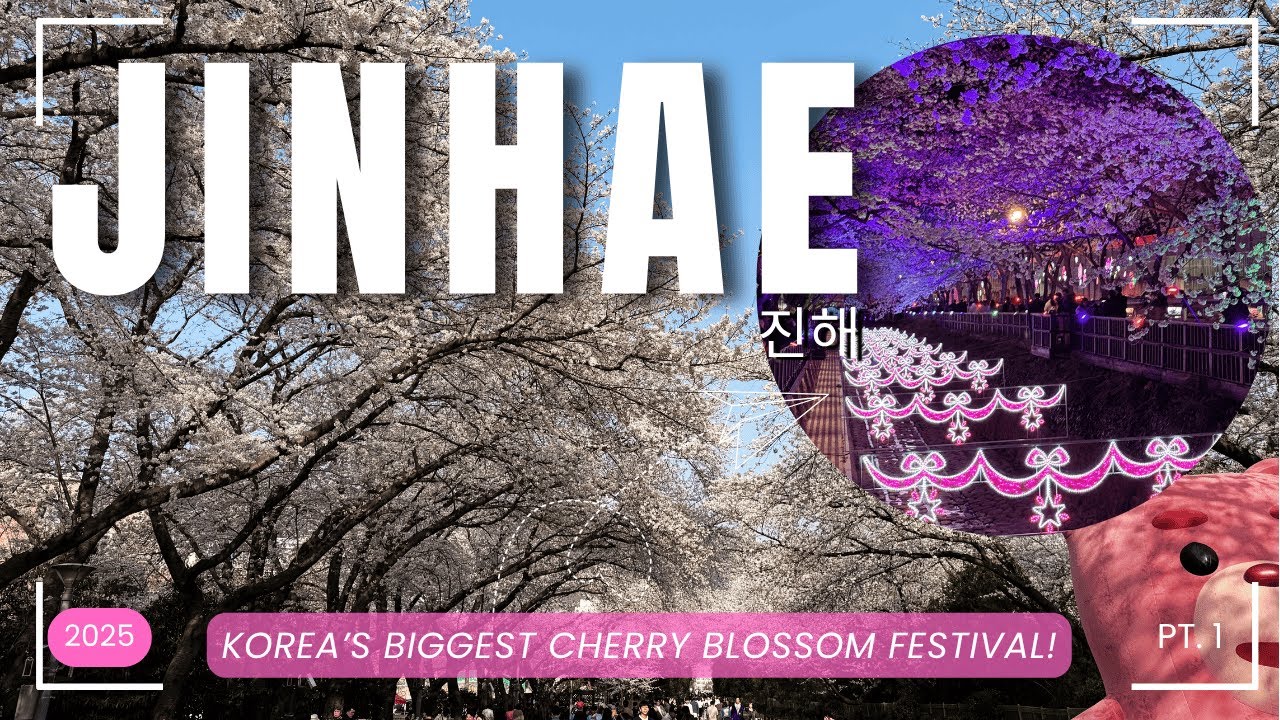 Jinhae Cherry Blossom Festival 2025 Part 1 | Silent Vlog | Korea’s Biggest Bloom 🌸