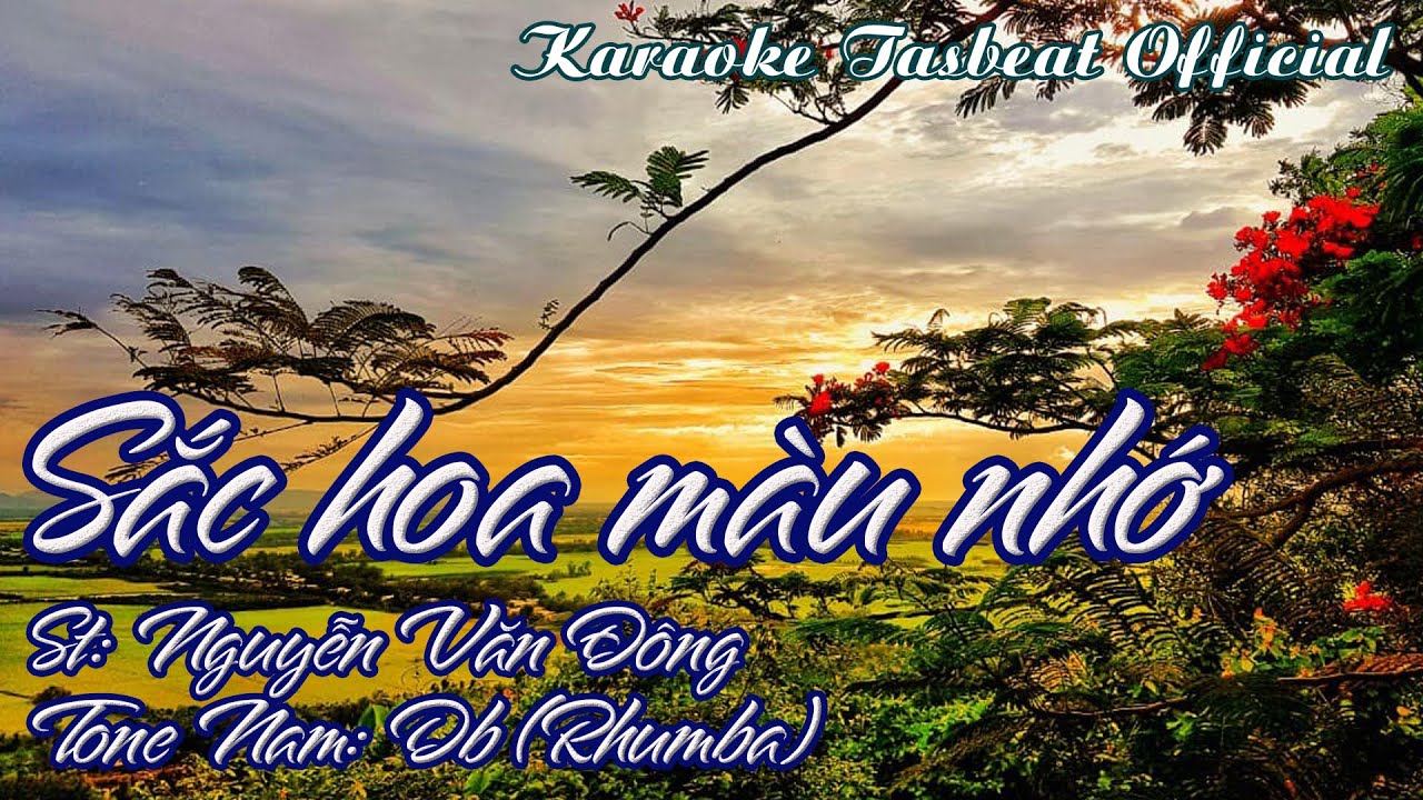 Karaoke Sắc Hoa Màu Nhớ (Rhumba) Tone Nam | TAS BEAT