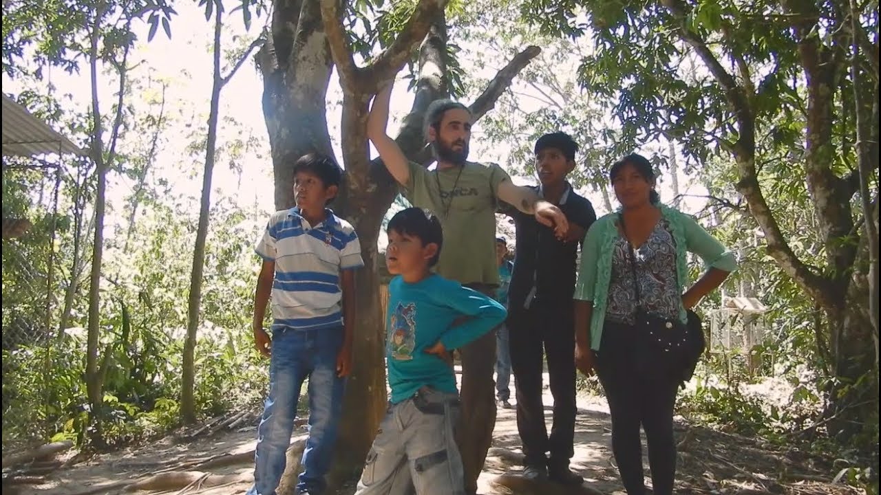 When previous owners come to visit their old pet monkey in ONCA