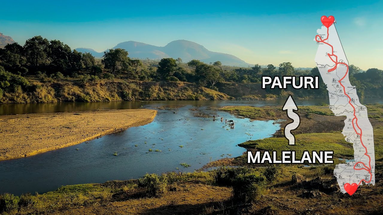 Мы проехали 1000 км по национальному парку Крюгер — вот что мы увидели 🇿🇦