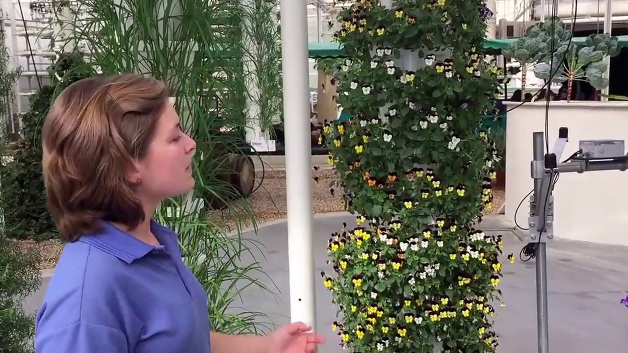 Behind the Seeds Tour - Walt Disney World Florida