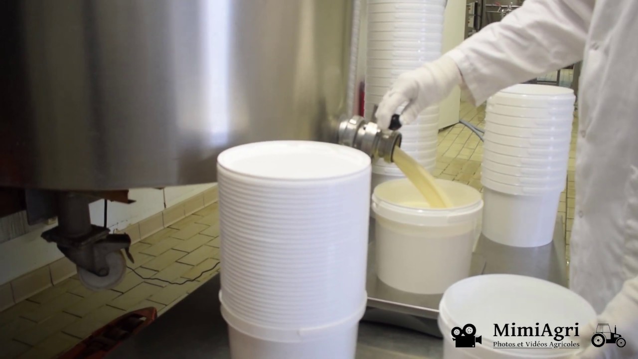 Transformation du lait en crème crue | Ferme Simon