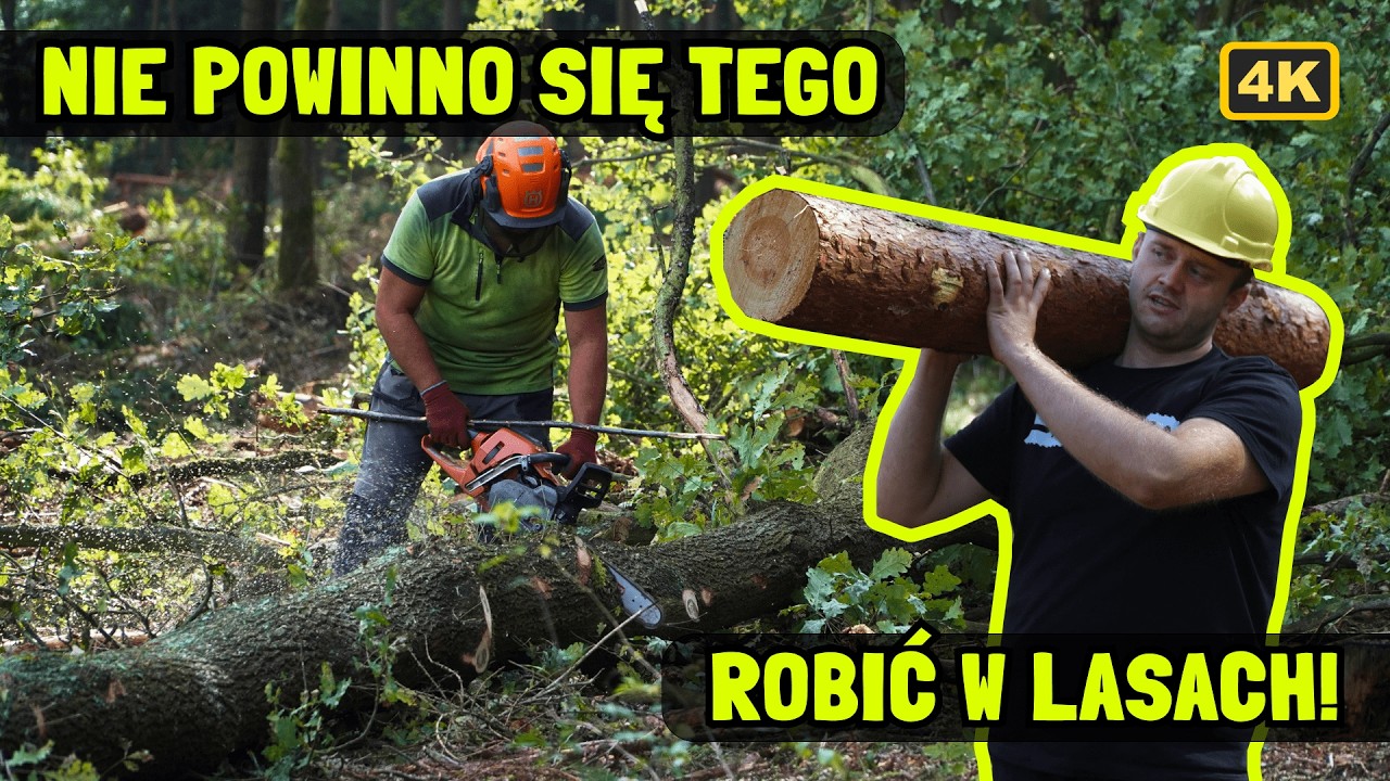 Tego nie powinno się robić w lasach państwowych!  🤬  odc. 117  Ponnse Bufallo