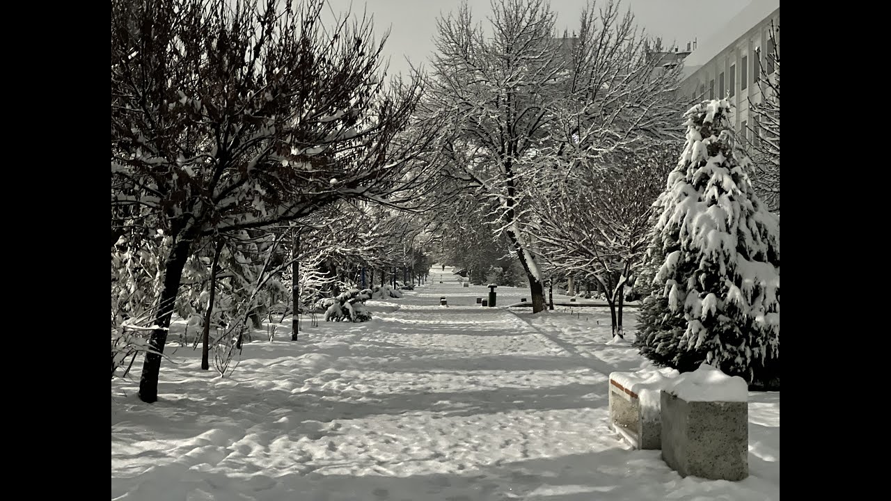 Morning walk