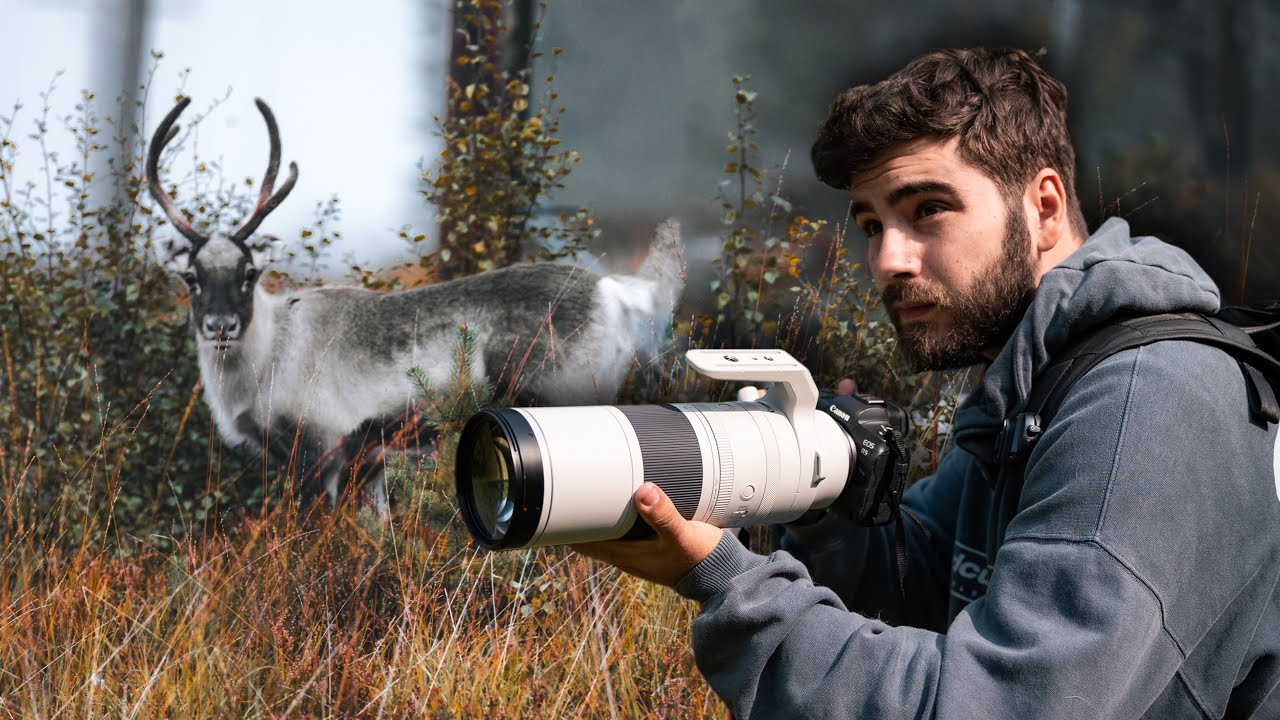 El MEJOR COMBO (cámara + objetivo) para EMPEZAR en FOTOGRAFIA de FAUNA 🦌 - RF 200-800mm