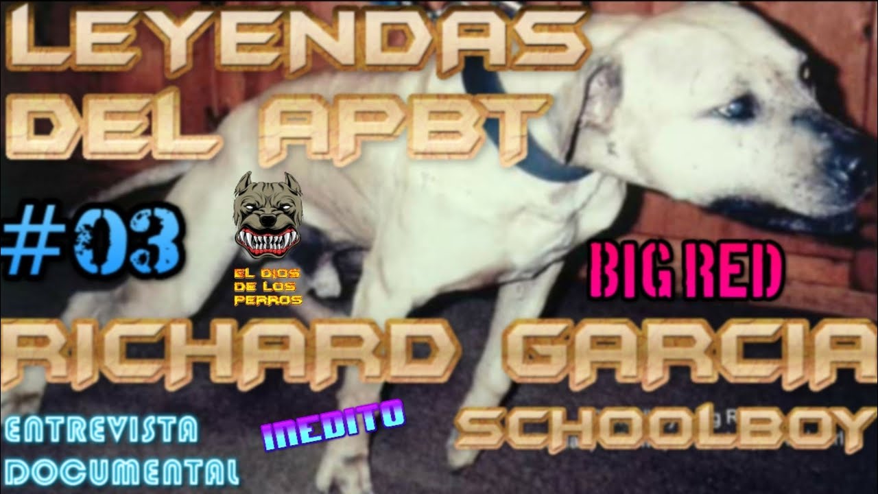 LEYENDAS DEL APBT : RICHARD GARCIA SCHOOLBOY - LEYENDAS #03 - AMERICAN PIT BULL TERRIER - DOCUMENTAL