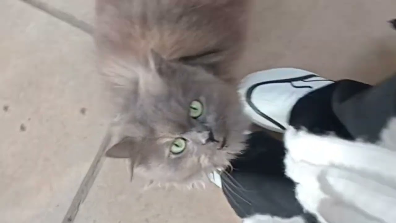 فلوغ يوم الثلاثاء❤️