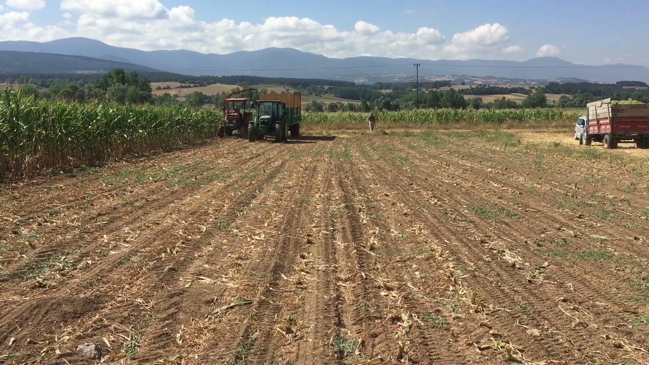 Mf 168  Jd 5075E Mısır silaj yapımı yukarı camlı köyü Bolu