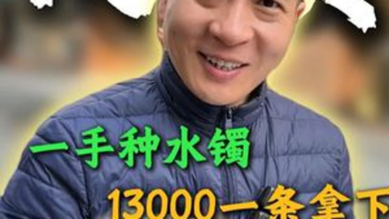 无脏、无棉、无裂，老百姓也能戴的精品手镯到底长啥样，姐姐们赶紧的看过来#翡翠 #翡翠手镯 #天然翡翠 #珠宝首饰