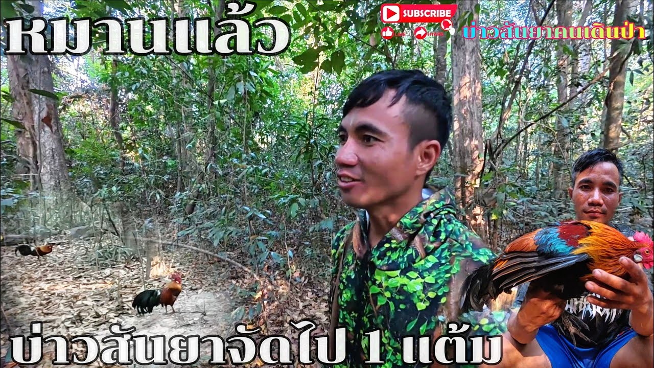 #หมานแล้ว#บ่าวสันยาจัดไป 1 แต้ม