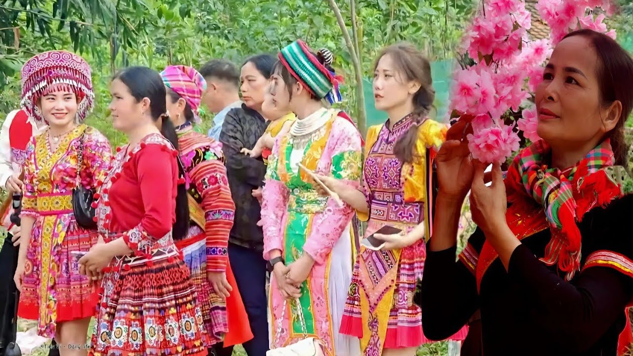 Springtime on the Highlands | Little Vi Harmonizes with the Colorful H'Mong Festival