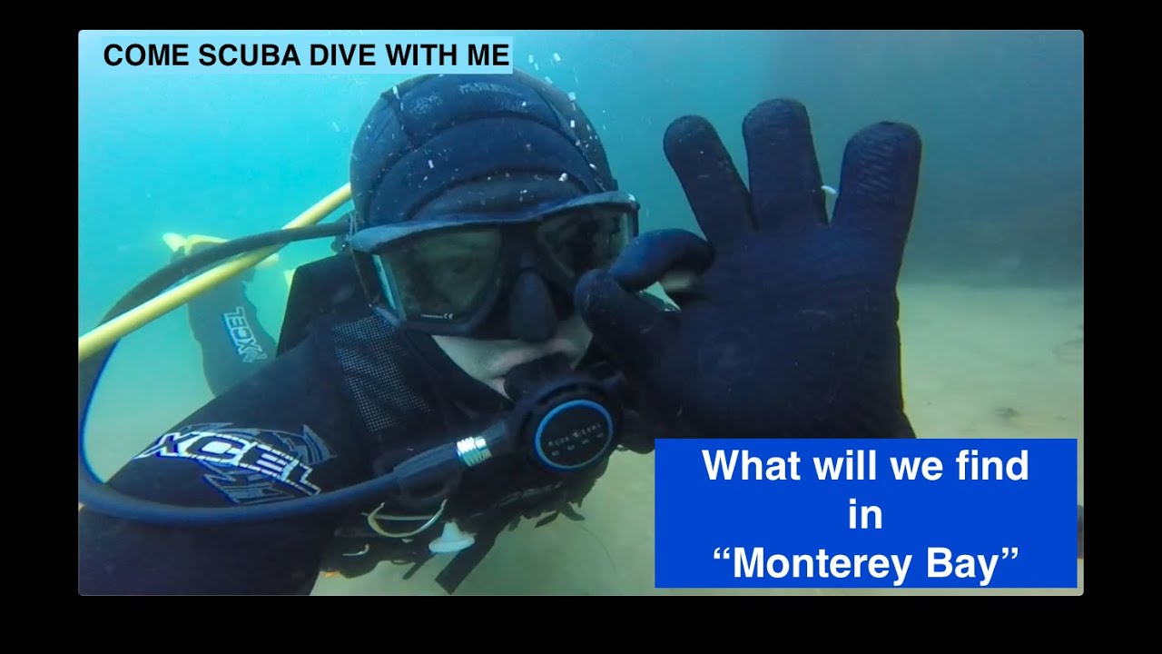 SCUBA Dive the Pacific Ocean in Monterey Bay's Breakwater Cove off the Coast Guard Pier