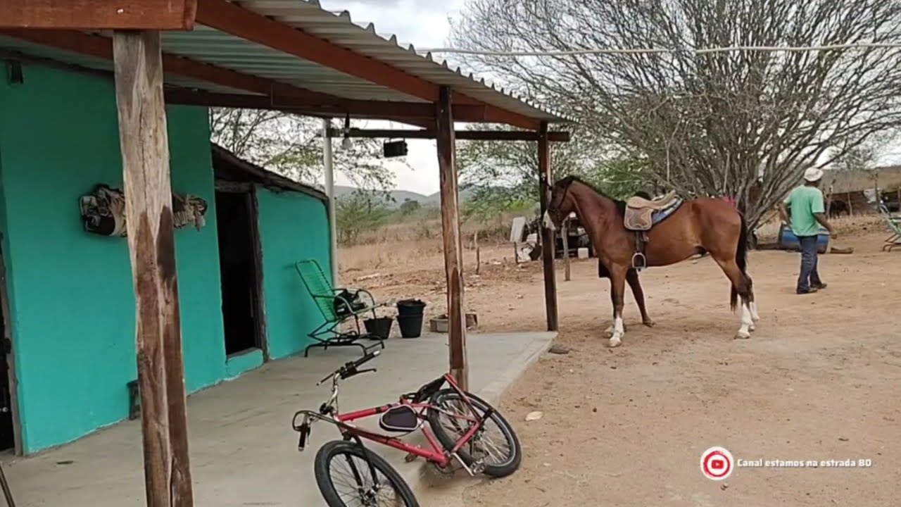 Estamos se despedindo do sertão acabou as férias de volta para Sao Paulo 
