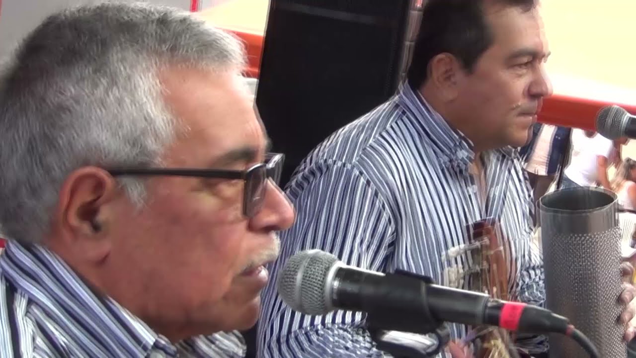 El Campesino Salsista   Los Alegres Cordillera 2021